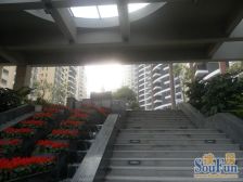 火车站旁 香樟国际 朝南6房大单位 双阳台