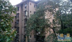 曙光妹子山社区3室1厅南