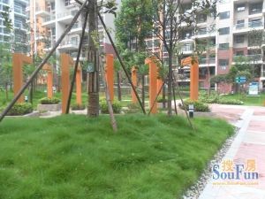 师大现代花园5室2厅东南
