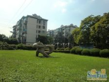 双南 6+9+14三轨交通 业主诚售 满五