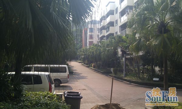龙飞大厦实景图