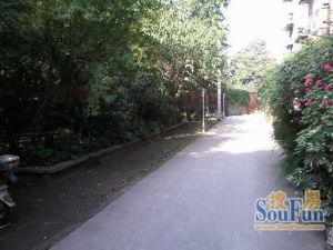 牛沙馨苑2室1厅南
