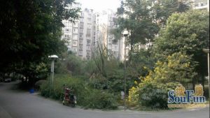 芙华新大陆3室1厅东南