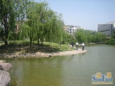 保养好带地暖空间改动灵活低楼层看花园景采光好