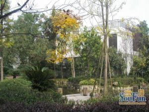 建川丽水青城玫瑰苑桂院 4室1厅 南