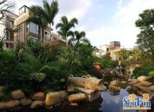 归壹墅绿园 3室2厅 东南