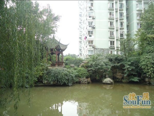 小区相关图