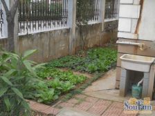 凤凰山庄 独栋别墅 精装修 地理位置好