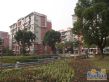 正峰苑实景图