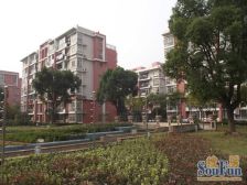 双轨交 有电梯 带地暖 小区c位 商品房 球场