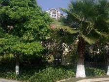 丰泰东海城堡 诚意出售别墅 带大花园