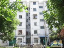 浦煤新村1室1厅南