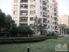 凤凰楼层,四开间朝南,有车位,收纳达到180平