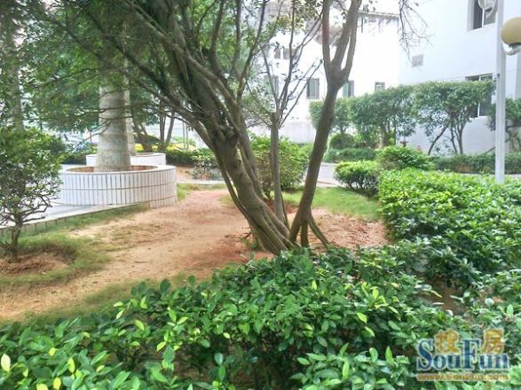 昌茂清华园实景图