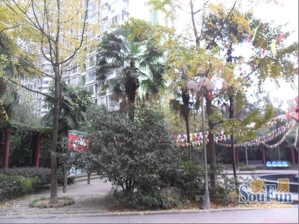 小区相关图