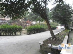 望丛西路82号3室2厅西南