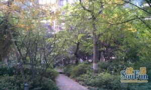 蓝岸丽景3室1厅西南西西北