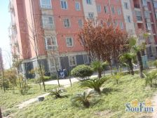 祥泰苑2室2厅南北