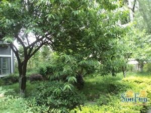 天府江南C区 4室2厅 南 西南