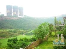 保利高尔夫花园临崖大花园清水独栋别墅