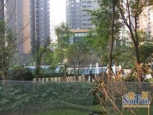 华润凤凰城一期 4室1厅 南