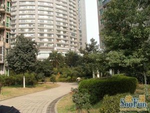 五一广场国金九龙仓位置好配套齐全交通便利