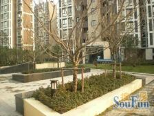 11年次新商品房,人车分流,精装拎包入住,双南户型