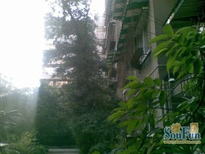 大慈寺路30号3室2厅东
