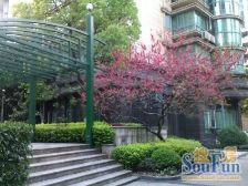 徐家汇·汇贤雅居·1室·2厅