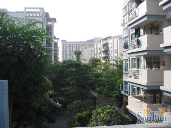 叠翠家园实景图