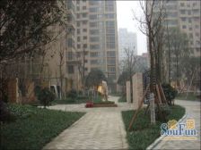 皇城花卉3室2厅东