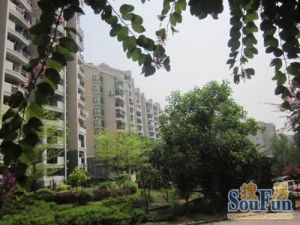 鼓楼区近软件园,一梯两户,带大院子