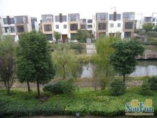 精装 产权清晰 新上房源