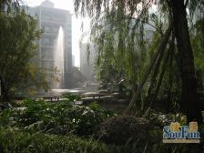 恒大城3室2厅西北