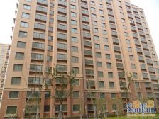 花园旁 全明朝南大一房 精装修 拎包入住