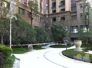 丽都花园丽府4室2厅东南