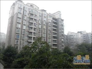 诺金山3室1厅西