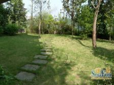 内独栋中户清水,3+1户型,单层面积在100-120