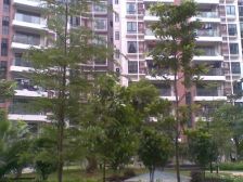 西平金色华庭《双地铁口 CBD公园旁 大社区换房》急售