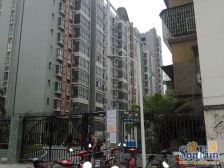 美陶花园 小高层 南向三房 舒适度高