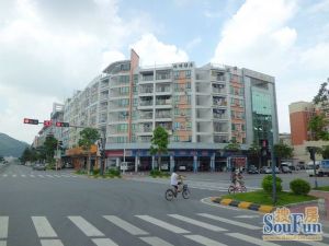 林峰雅居3室1厅东南
