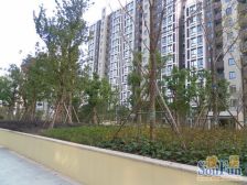 徐汇南滨江飞机大3房+13年全人车分流品质小区