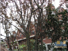 纯别墅小区,房子实得面积大,龙湖物业。