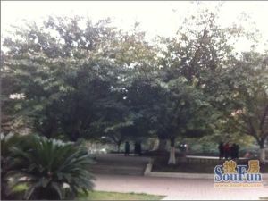 启明花园3室2厅东南