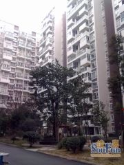 鱼凫阳光3室1厅南