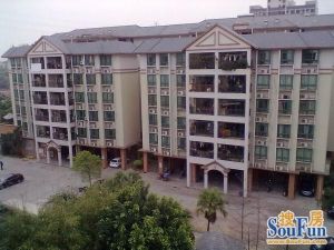 【桃园名苑】| 广东省佛山市南海区狮山镇松岗桃园一路32号桃园名苑B座507号房的不动产