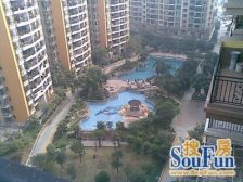 星晖园电梯楼 满五年,产权清晰,高楼层采光通风好