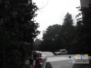 东较场街73号3室1厅东南