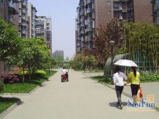 兴城融域1室1厅东