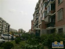 唐镇王港CBD,边套大阳台,精致户型,领包入住